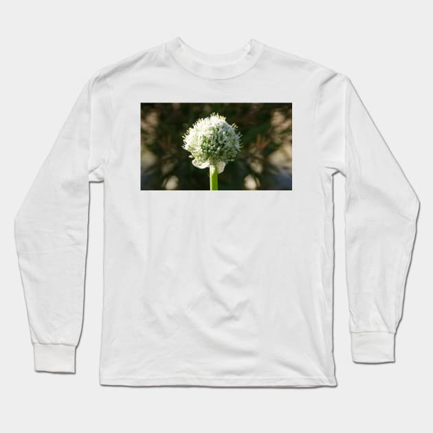 White Onion Flower by Avril Thomas Long Sleeve T-Shirt by MagpieSprings